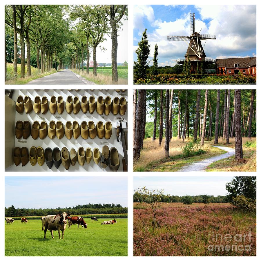 Cow Photograph - Brabant Collage by Carol Groenen