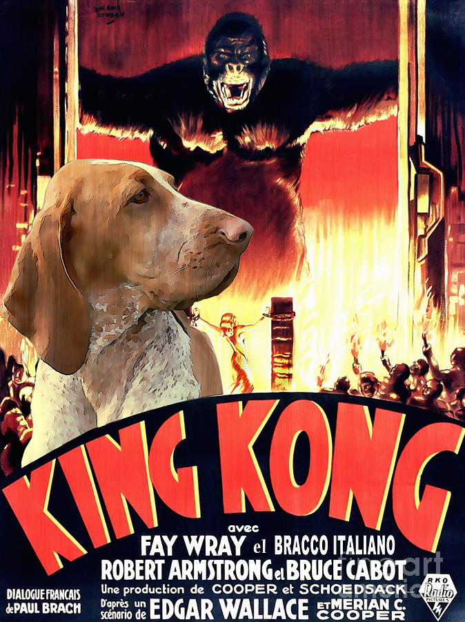 Bracco Italiano Art Canvas Print - King Kong Movie Poster Painting by Sandra Sij