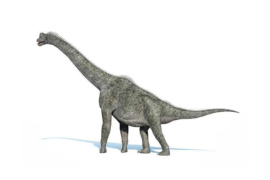 Brachiosaurus Dinosaur, Artwork Digital Art by Leonello Calvetti