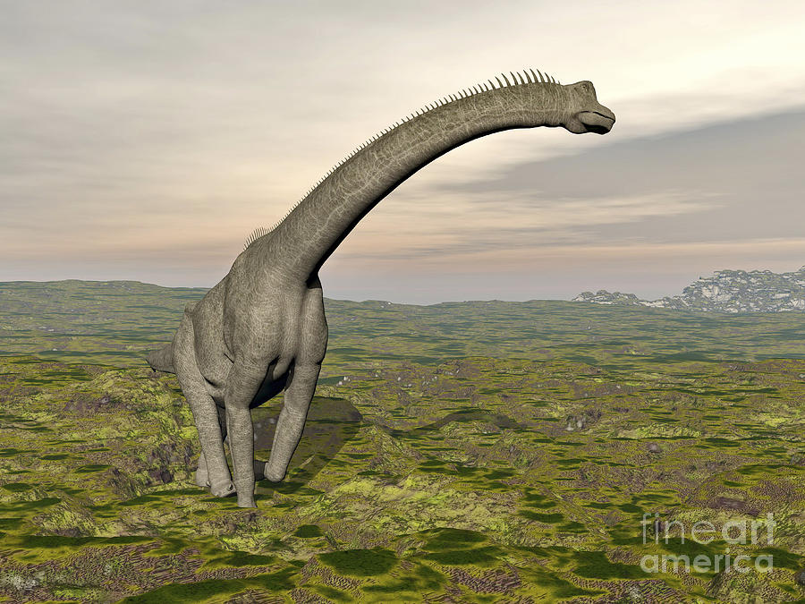 Brachiosaurus Dinosaur Walking Digital Art by Elena Duvernay - Fine Art ...