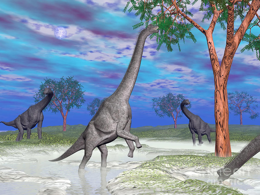 dinosaurs like brachiosaurus