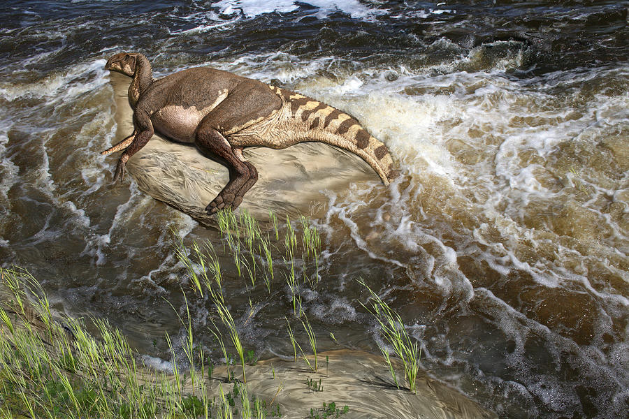 Dinosaur Munmmy - Brachylophosaurus canadensis  Digital Art by Julius Csotonyi