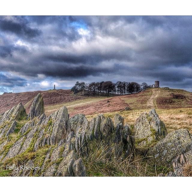Bradgate Park, Leicestershire 🇬🇧 Photograph by Polly Rhodes