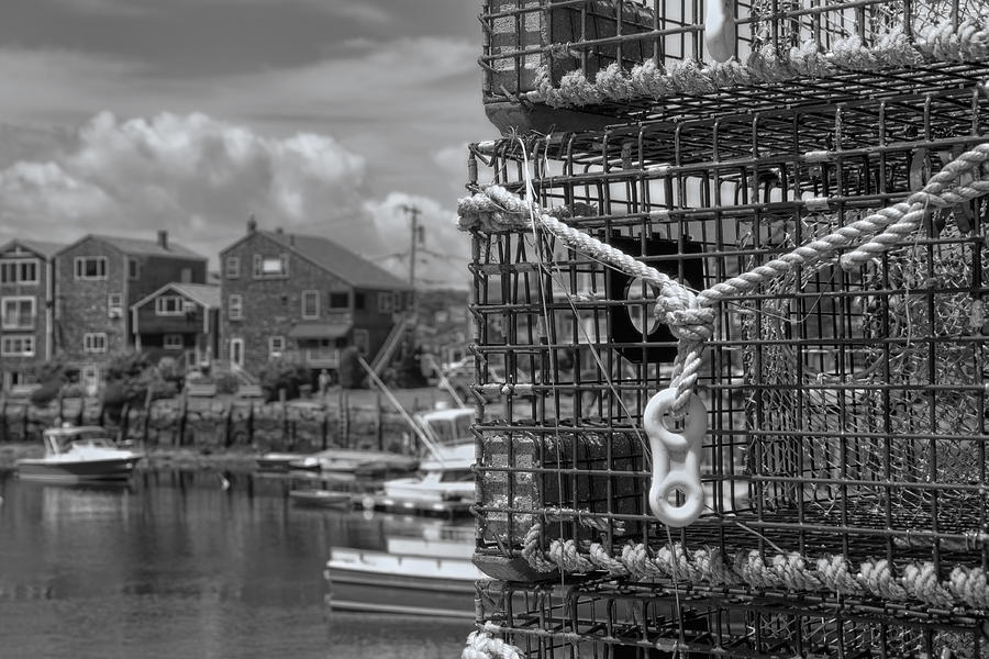 Bradley Wharf in Black and White Photograph by Joann Vitali