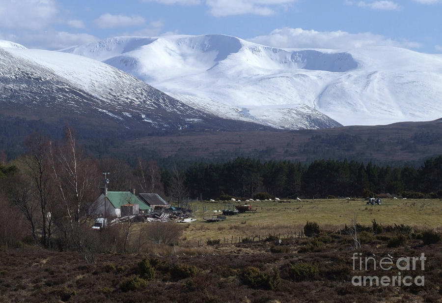 Braeriach from Whitewell Photograph by Phil Banks