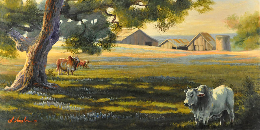 Brahma in shade Painting by Sidney Vaughn - Fine Art America