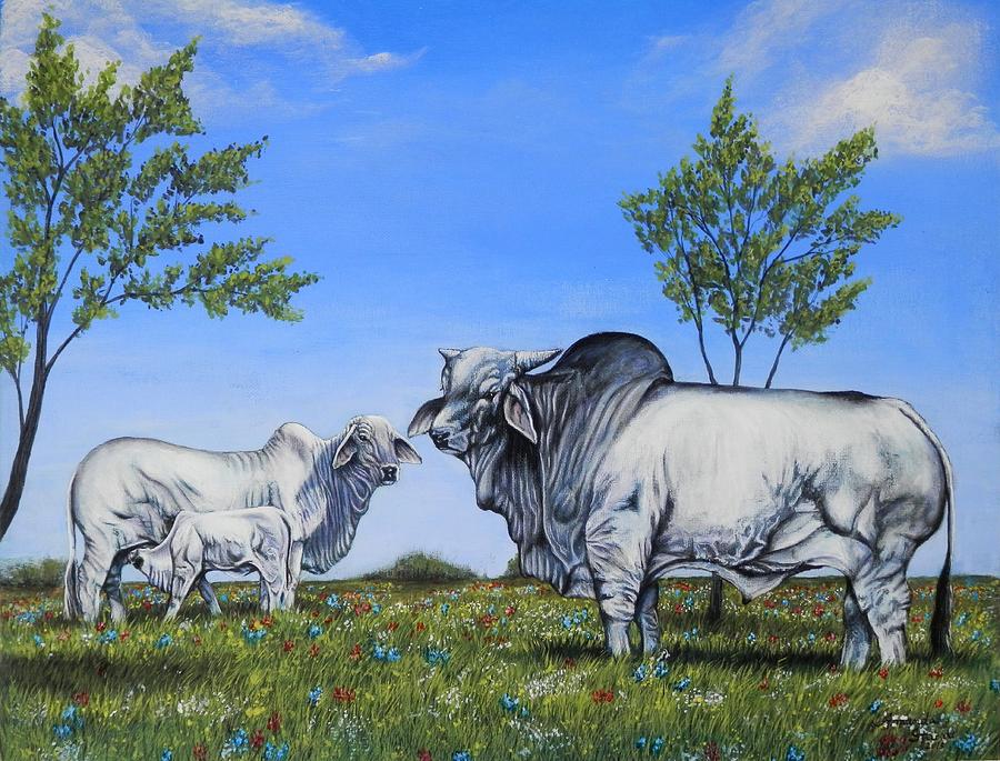 Cow Painting - Brahman Cattle by Amanda Hukill