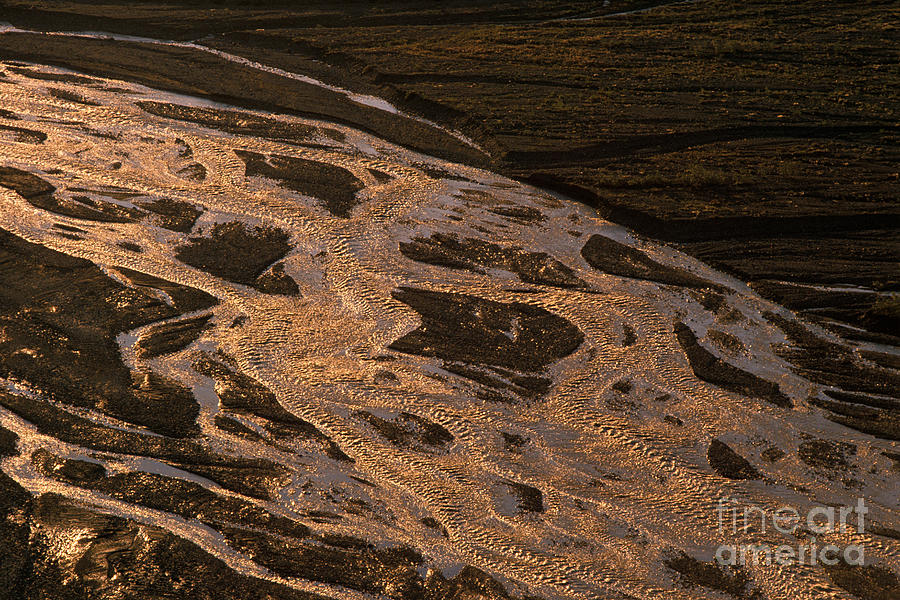 Braided River, Denali National Park Photograph by Ron Sanford