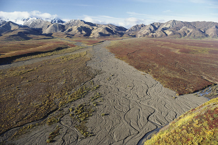 Braided River In Alaska Photograph by Thomas And Pat Leeson