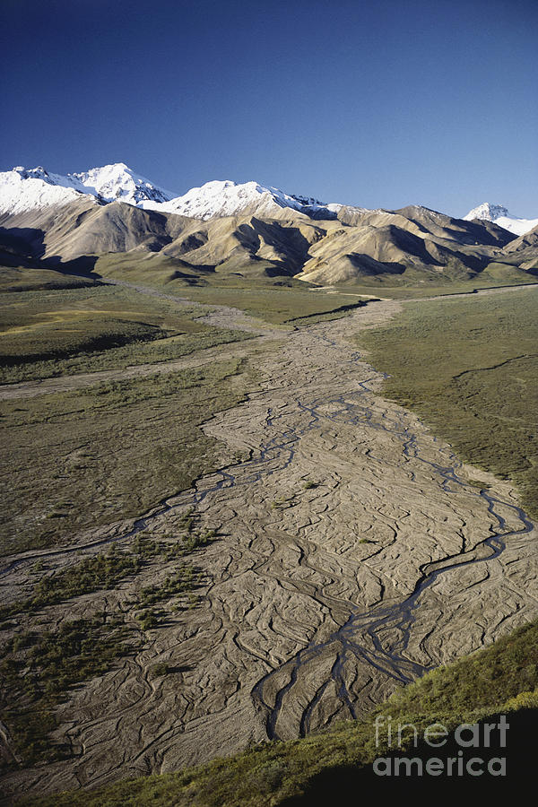 Braided River In Alaska Photograph by William H. Mullins