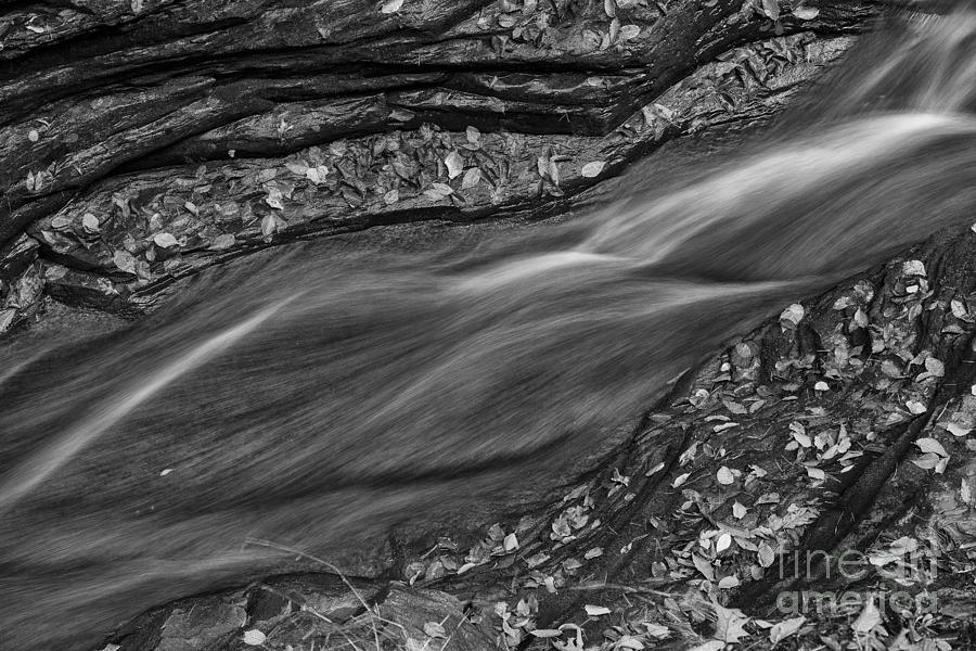Waterfall Photograph - Braided Water by Michele Steffey