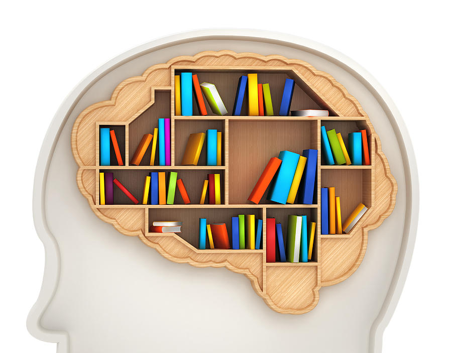 Brain bookshelf Photograph by Adventtr