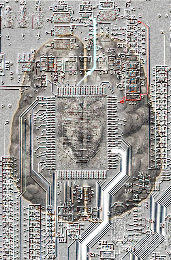 Brain Circuit Photograph by Mike Agliolo