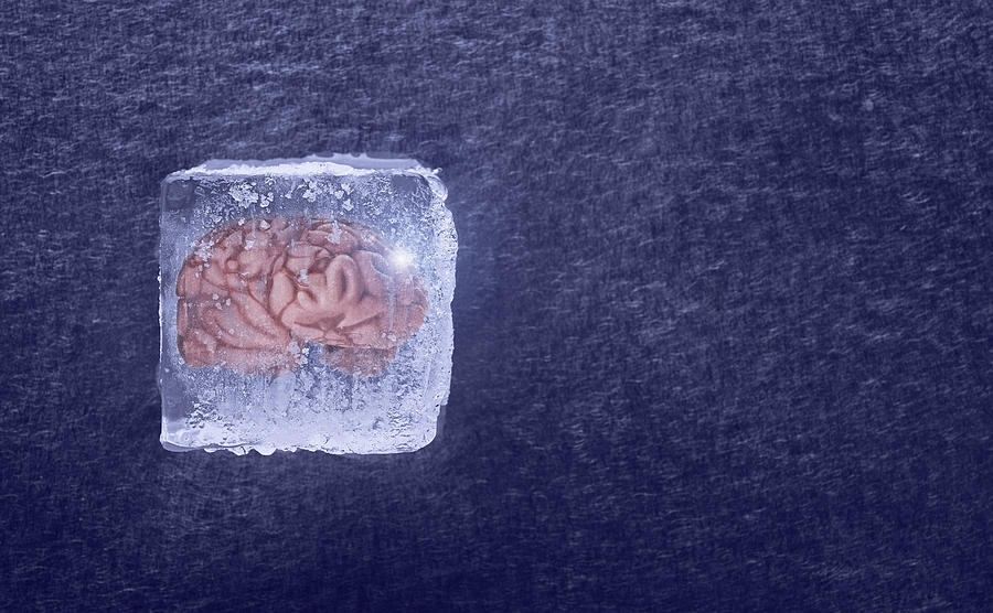 Brain frozen in ice cube Photograph by Dennis Lane