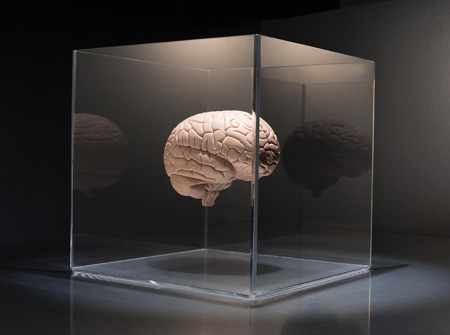 Brain in a box Photograph by PM Images