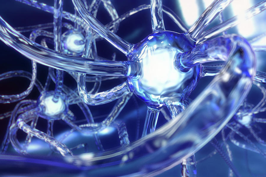 Brain Neurons Made Of Glass Digital Art by Maciej Frolow