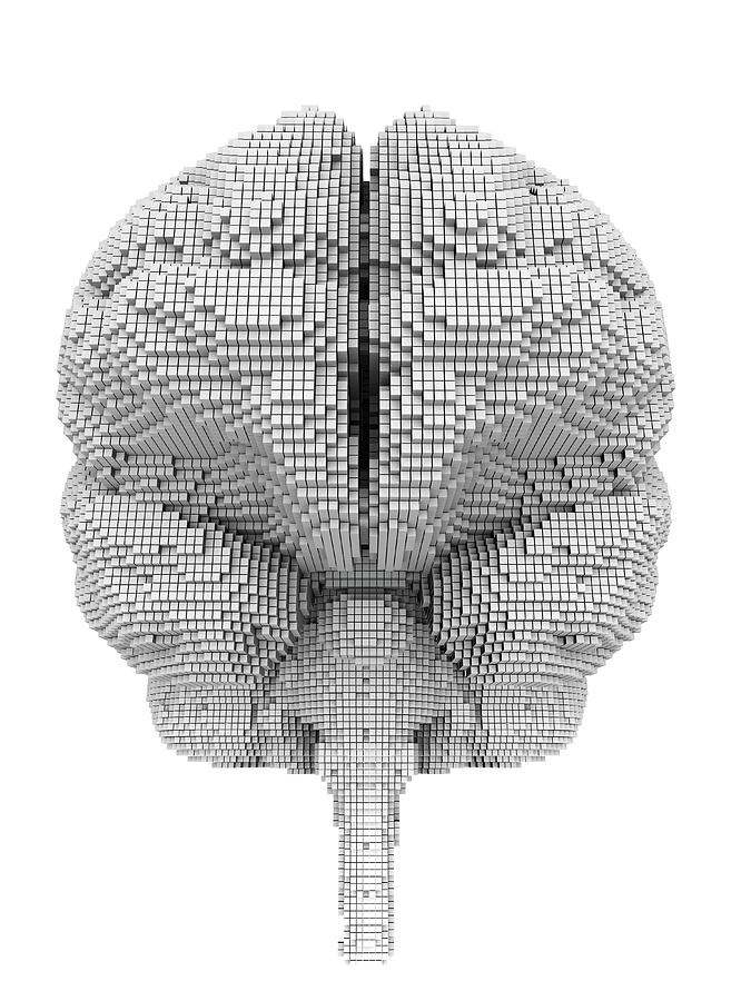 Brain Pixelated Photograph by Alfred Pasieka/science Photo Library
