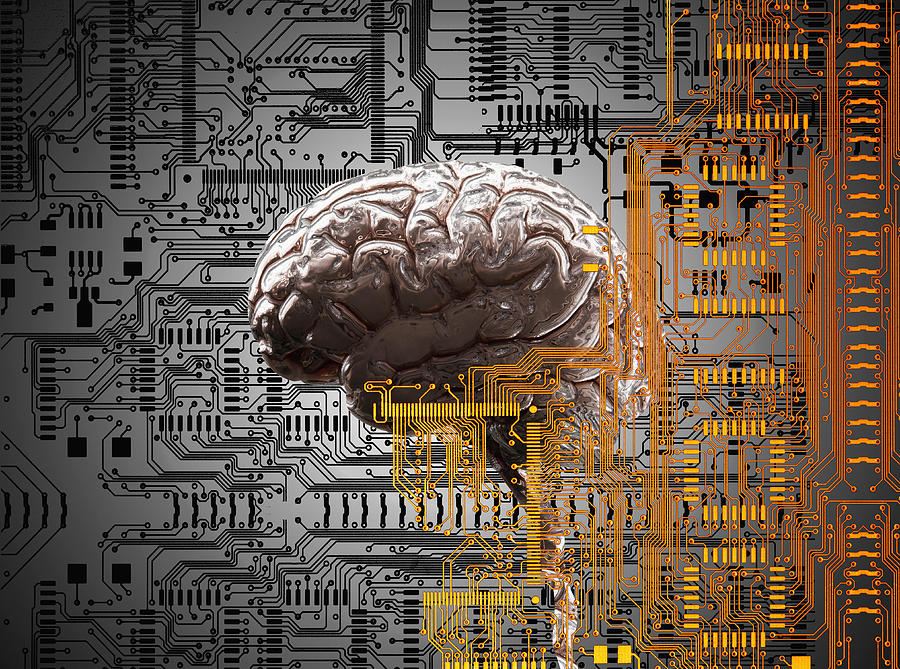 Brain under layers of circuit board,  Drawing by John M Lund Photography Inc
