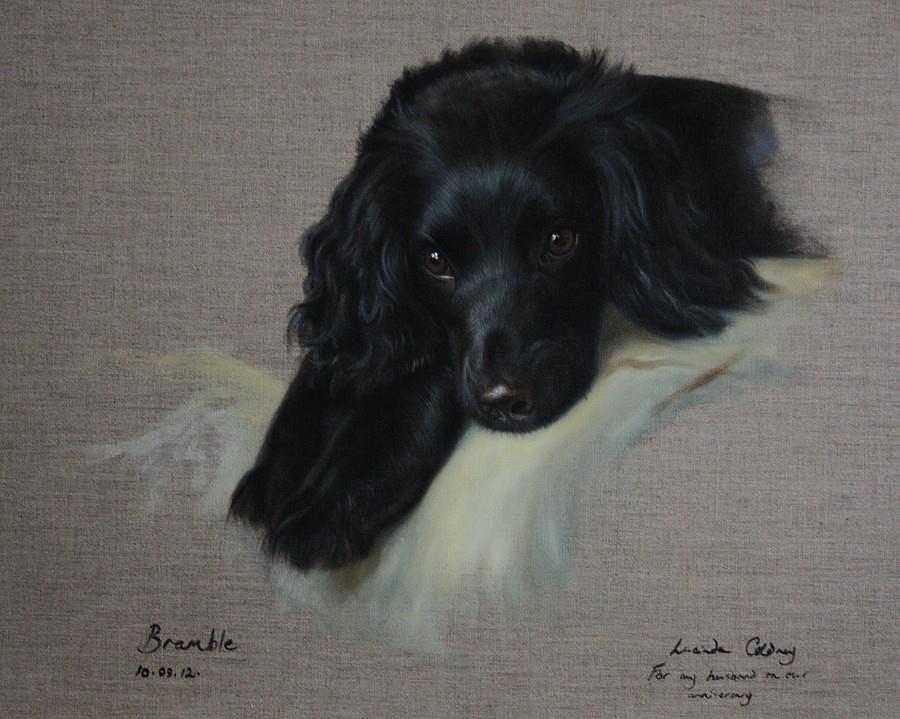 Animal Painting - Bramble  by Lucinda Coldrey