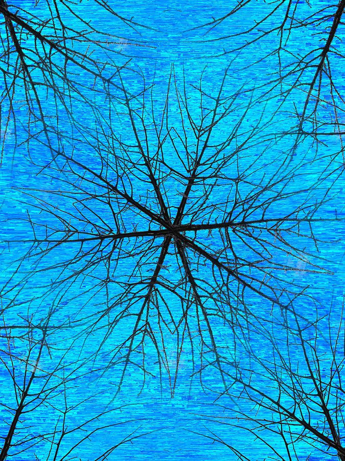 Branch Out Digital Art by Tim Allen