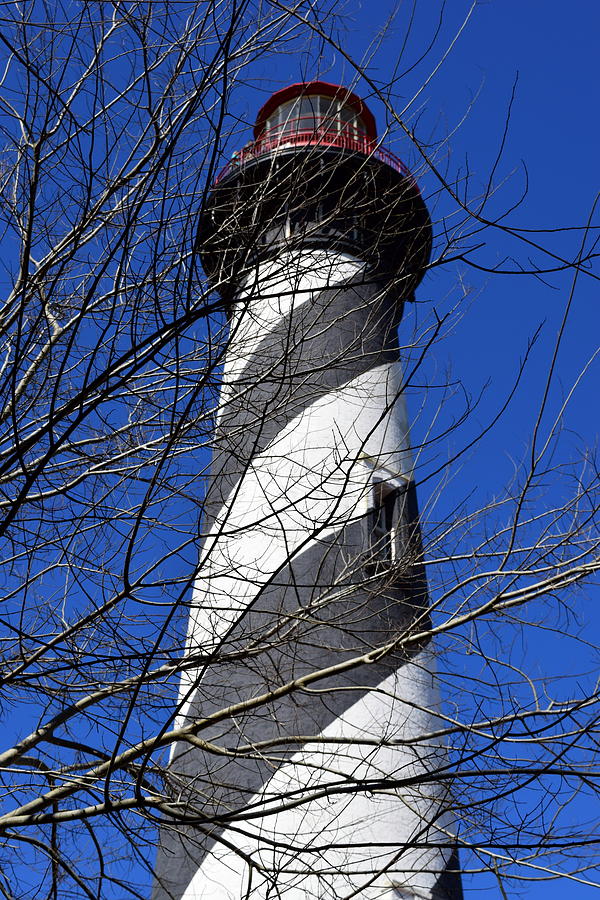 Branched Lighthouse 1 Photograph by Sheri McLeroy