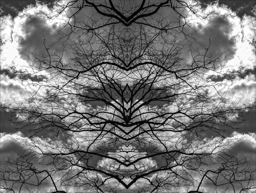 Branches and Clouds Mirrored Photograph by Robert Ullmann