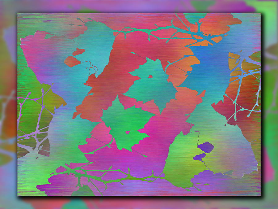 Tim Allen Digital Art - Branches In The Mist 49 by Tim Allen