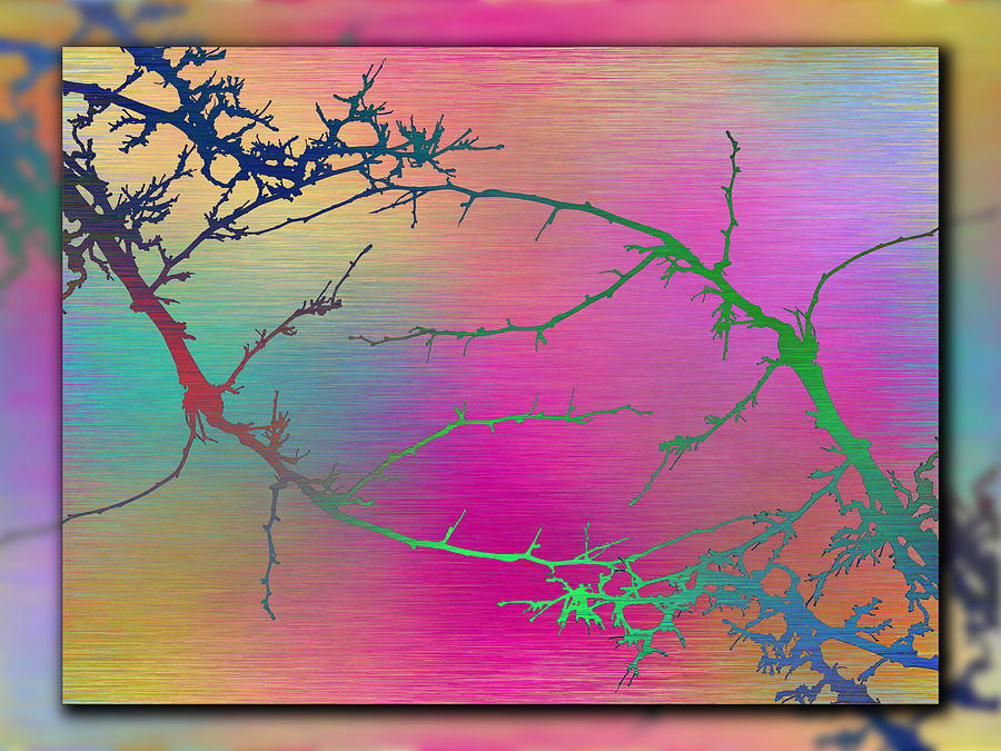 Branches In The Mist 66 Digital Art by Tim Allen
