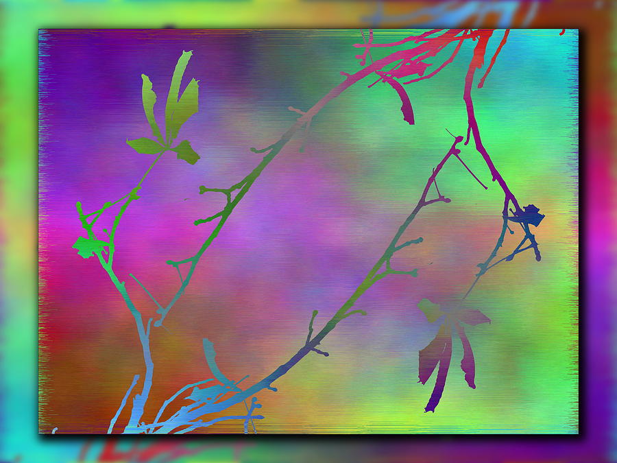 Branches In The Mist 77 Digital Art by Tim Allen