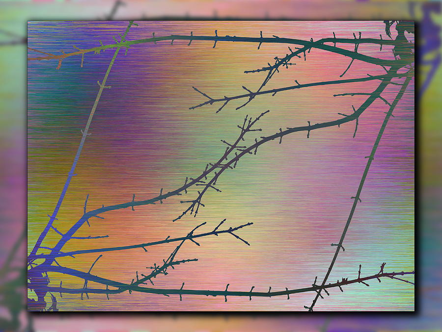 Branches In The Mist 79 Digital Art by Tim Allen