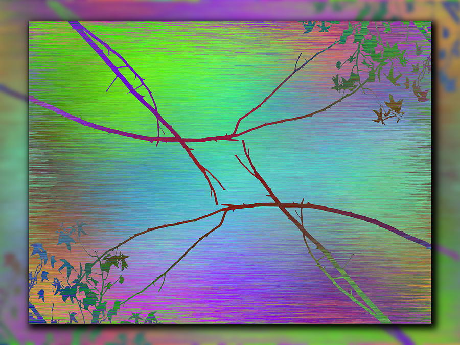 Branches In The Mist 83 Digital Art by Tim Allen