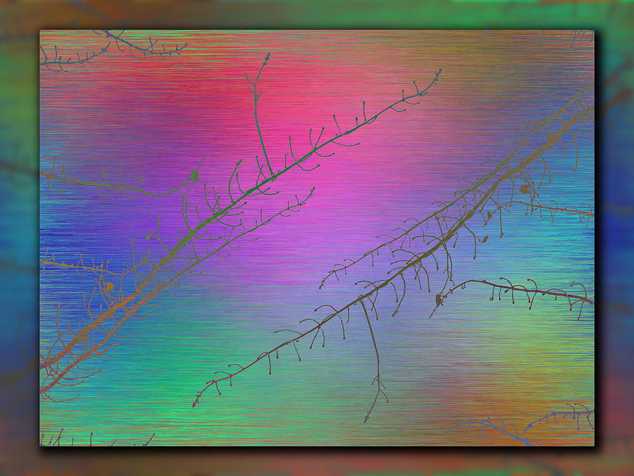 Tim Allen Digital Art - Branches In The Mist 89 by Tim Allen