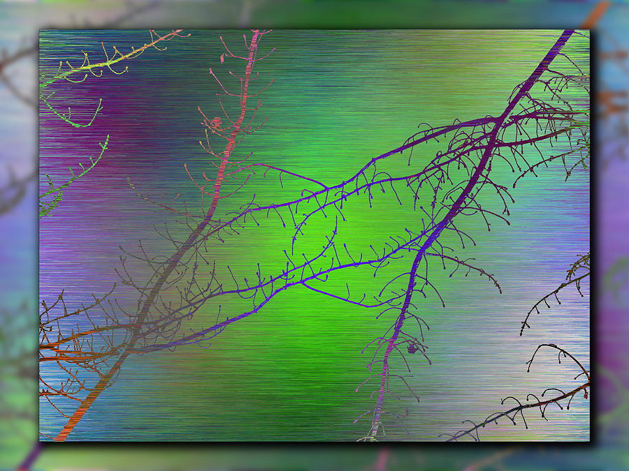 Branches In The Mist 90 Digital Art by Tim Allen