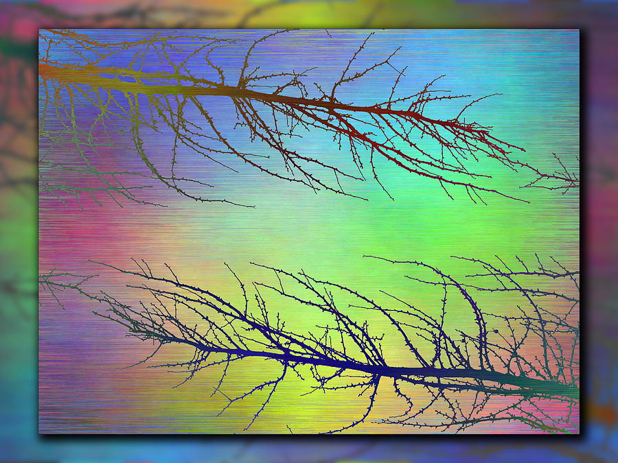 Branches In The Mist 97 Digital Art by Tim Allen