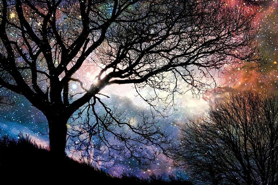 Branches of Nebula Photograph by Anna Ash - Fine Art America