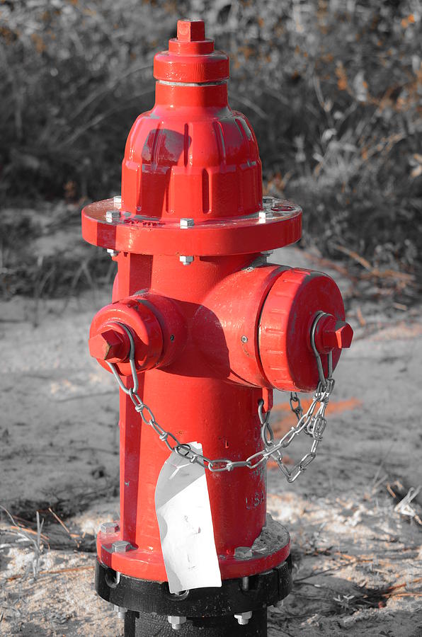 Brand New Red Hydrant on BW Photograph by Jeff at JSJ Photography