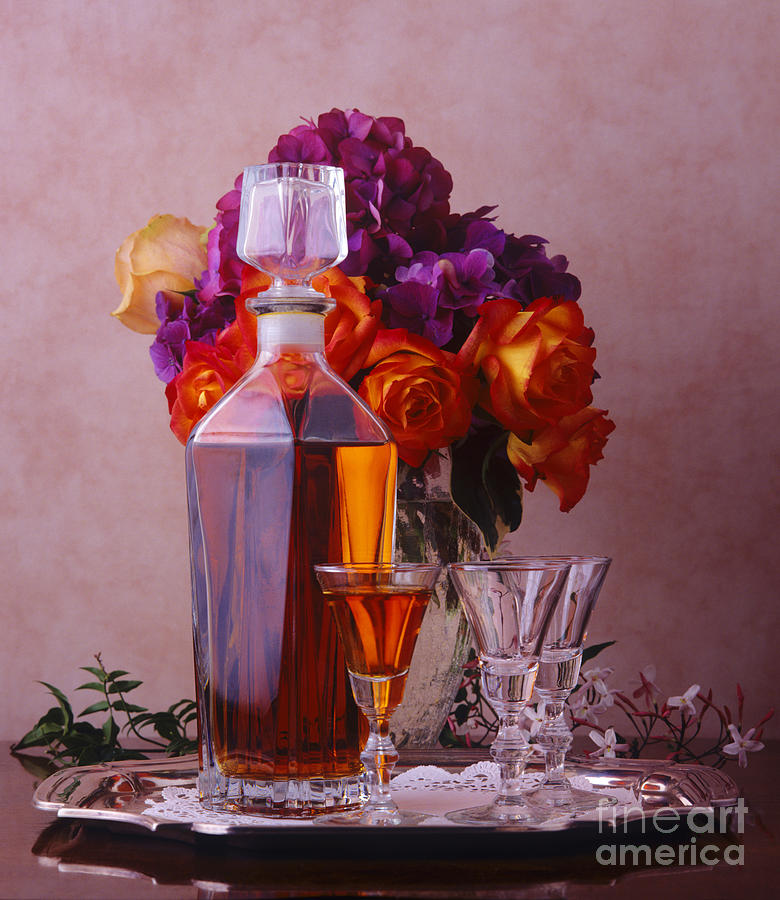 Brandy and Flowers Photograph by Craig Lovell