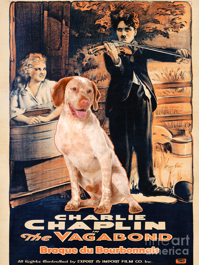 Braque Du Bourbonnais Art Canvas Print -  The Vagabond Movie Poster Painting