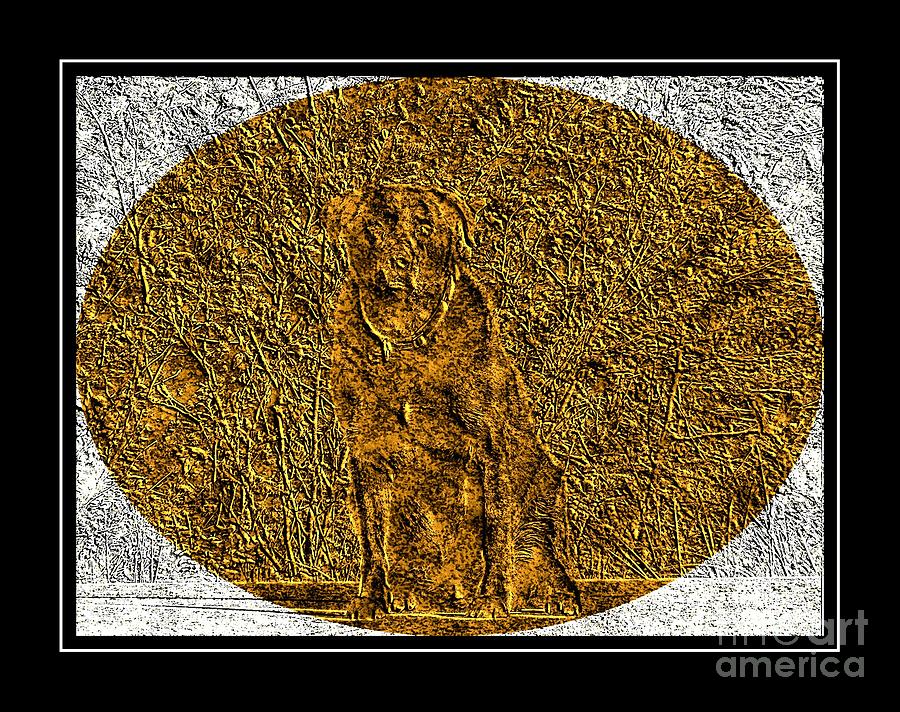 Brass Etching - Oval - Labrador Retriever Photograph by Barbara A Griffin