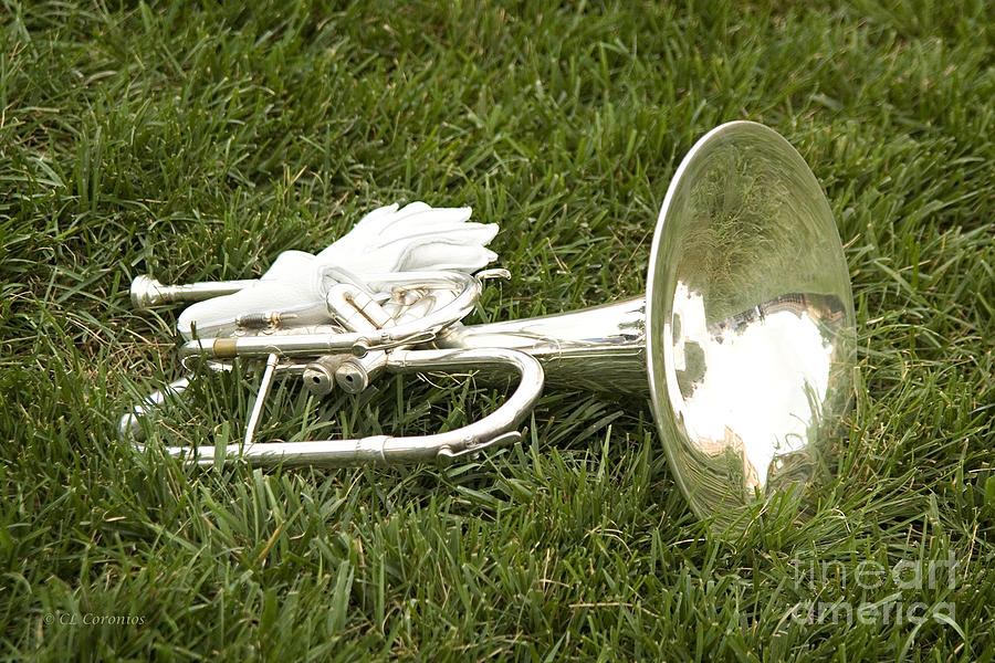 Musical Instrument Photograph - Brass in Grass by Carol Lynn Coronios