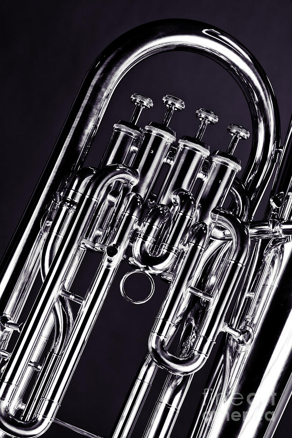 Black And White Photograph - Brass music instrument tuba valves in sepia 3277.01 by M K Miller