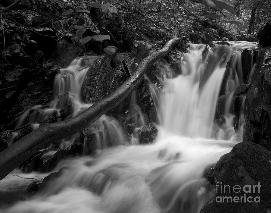 Nature Photograph - Brattleboro Waterfall 1 by Henry Ireland