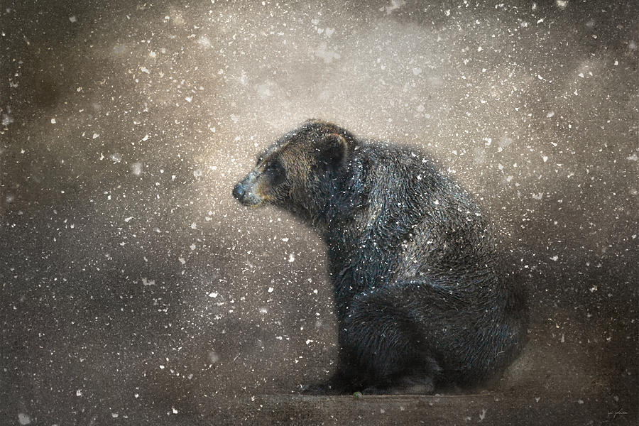 Animal Photograph - Braving the Storm by Jai Johnson