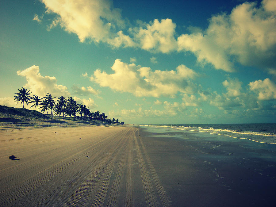Brazil Beach Tranquil Photograph by Patricia Awapara
