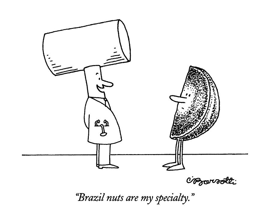Brazil Nuts Are My Specialty Drawing by Charles Barsotti