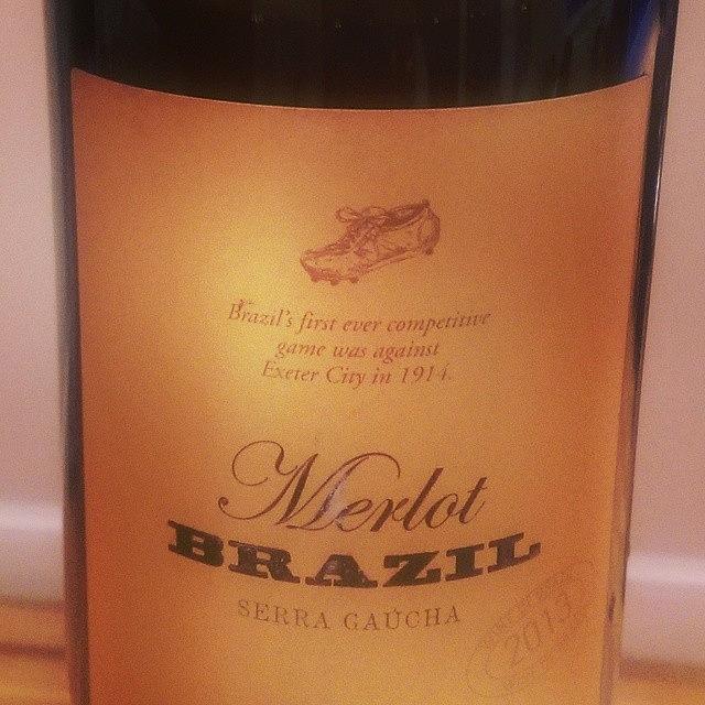 Brazilian Red Wine - Seriously - The Photograph by Pieter Graham