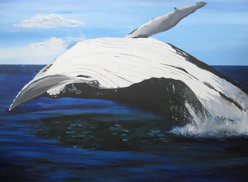 Breaching Whale Painting By Cathy Jacobs - Pixels