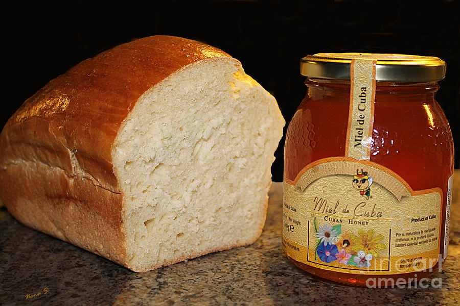 Bread and Honey For the Holiday Photograph by Nina Silver
