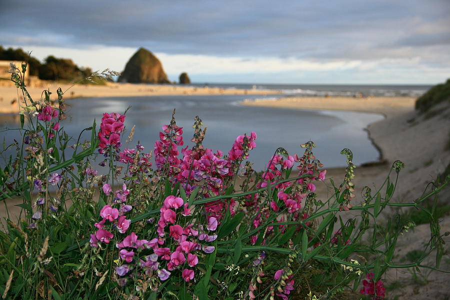 Breakers Point Oregon Photograph by Steven A Bash