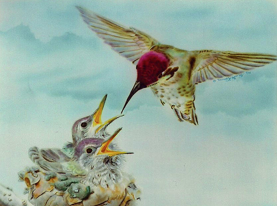 Hummingbird Painting - Breakfast by Thomas J Herring